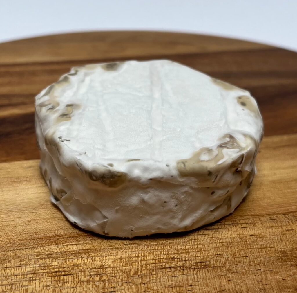 Top view of Camelia vegan cheese by Casa del fermentino